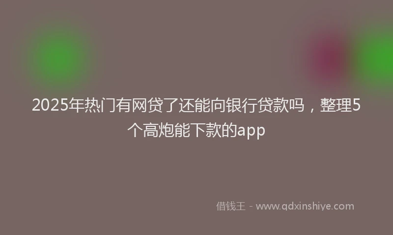 2025年热门有网贷了还能向银行贷款吗，整理5个高炮能下款的app