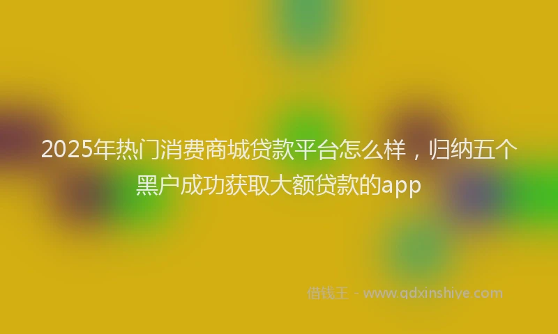 2025年热门消费商城贷款平台怎么样，归纳五个黑户成功获取大额贷款的app