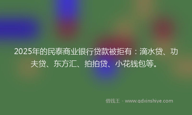 2025年的民泰商业银行贷款被拒有：滴水贷、功夫贷、东方汇、拍拍贷、小花钱包等。