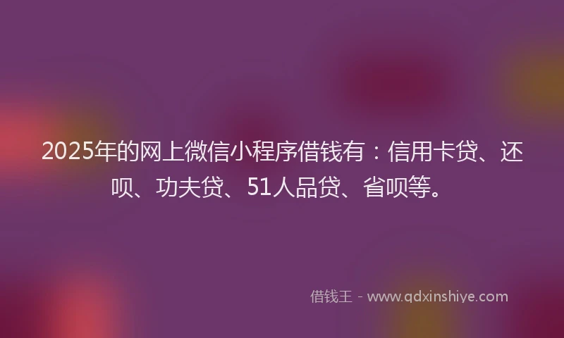 2025年的网上微信小程序借钱有：信用卡贷、还呗、功夫贷、51人品贷、省呗等。