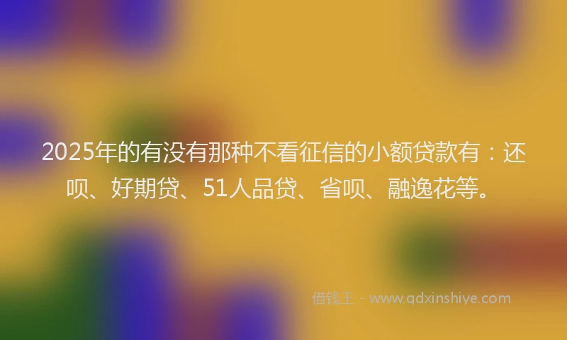 2025年的有没有那种不看征信的小额贷款有：还呗、好期贷、51人品贷、省呗、融逸花等。