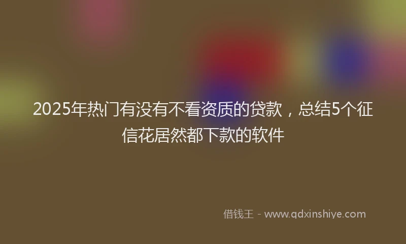 2025年热门有没有不看资质的贷款，总结5个征信花居然都下款的软件