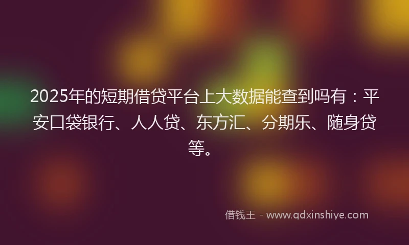 2025年的短期借贷平台上大数据能查到吗有：平安口袋银行、人人贷、东方汇、分期乐、随身贷等。