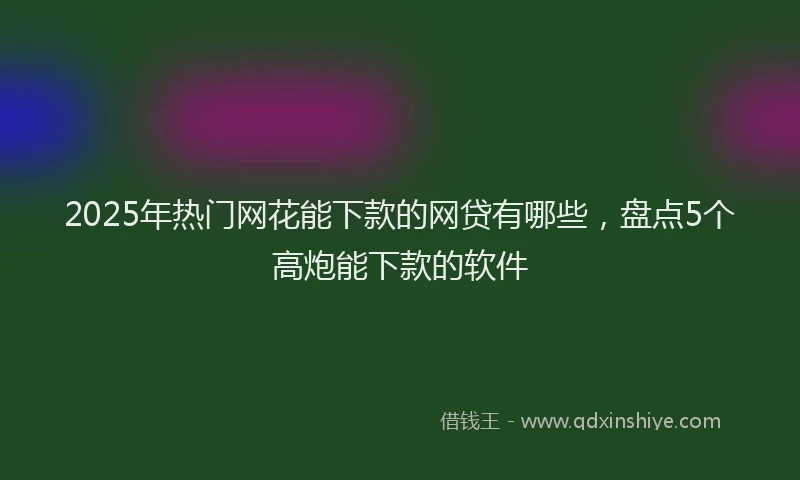 2025年热门网花能下款的网贷有哪些，盘点5个高炮能下款的软件