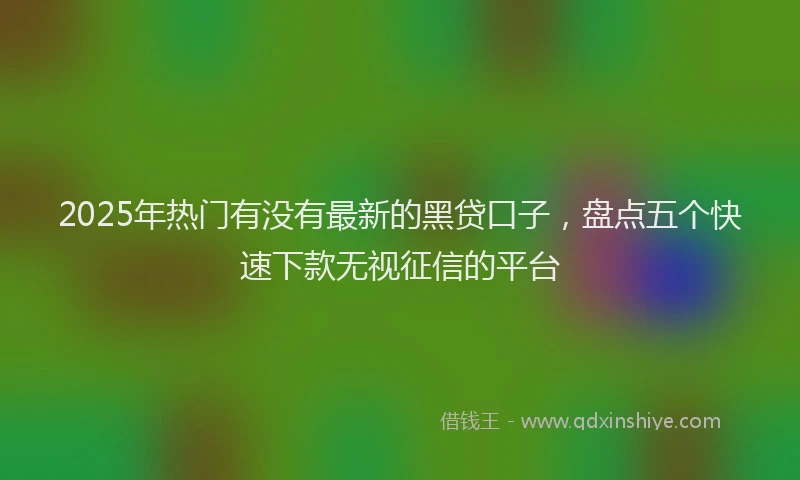 2025年热门有没有最新的黑贷口子，盘点五个快速下款无视征信的平台