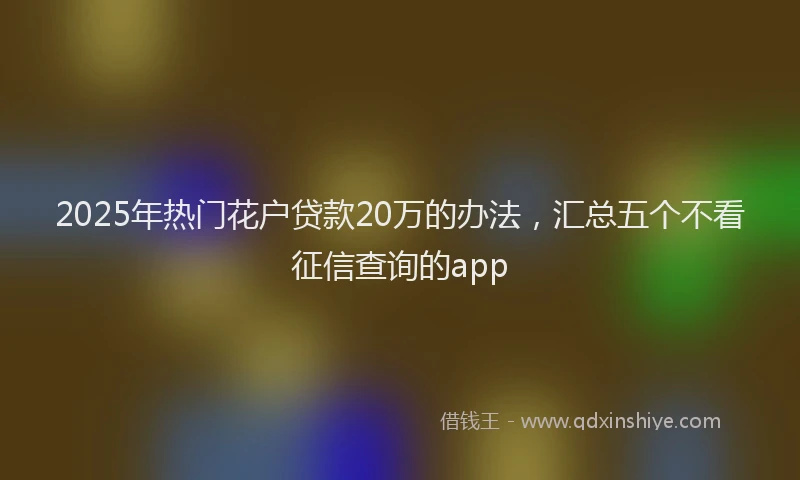 2025年热门花户贷款20万的办法，汇总五个不看征信查询的app