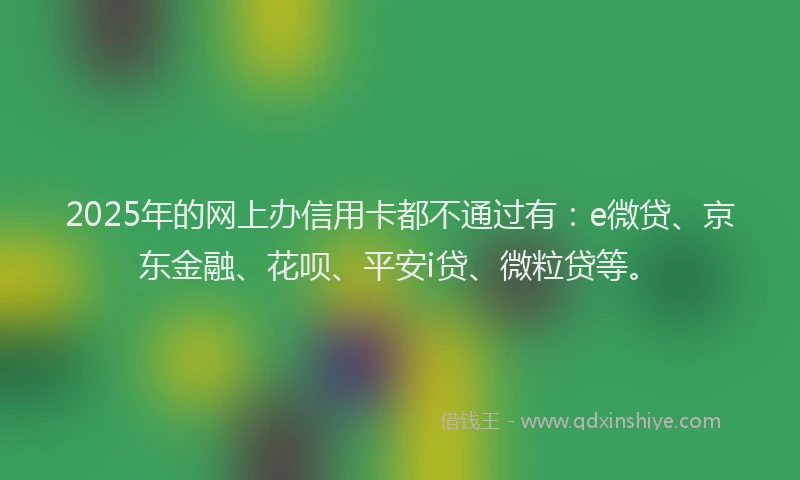 2025年的网上办信用卡都不通过有：e微贷、京东金融、花呗、平安i贷、微粒贷等。