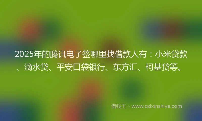 2025年的腾讯电子签哪里找借款人有：小米贷款、滴水贷、平安口袋银行、东方汇、柯基贷等。