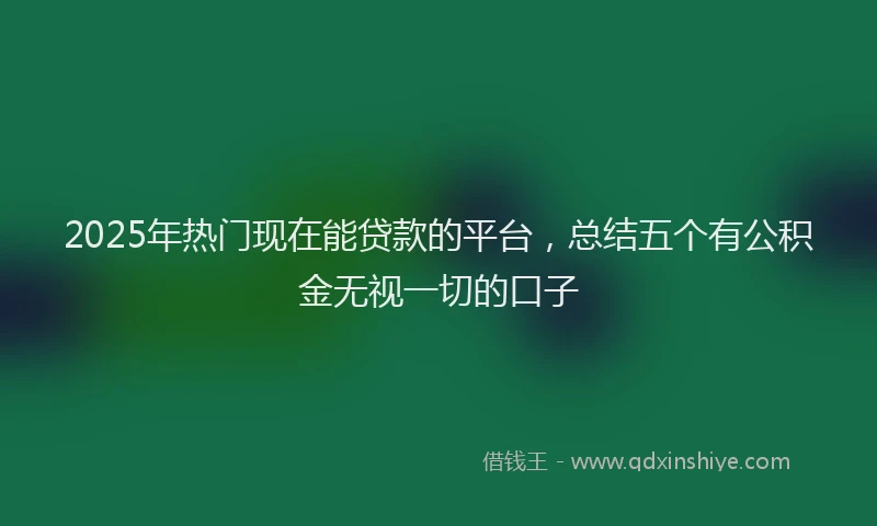 2025年热门现在能贷款的平台，总结五个有公积金无视一切的口子
