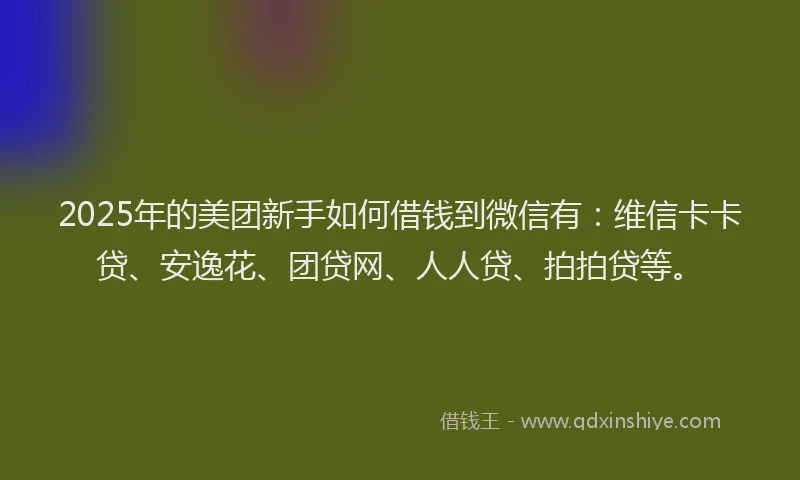 2025年的美团新手如何借钱到微信有：维信卡卡贷、安逸花、团贷网、人人贷、拍拍贷等。