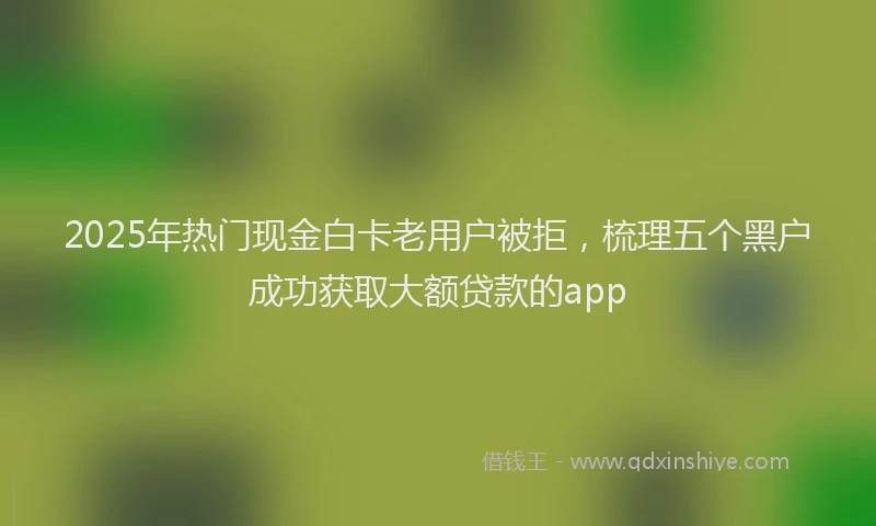 2025年热门现金白卡老用户被拒，梳理五个黑户成功获取大额贷款的app