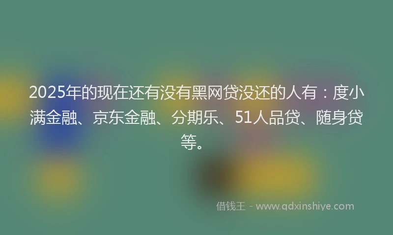 2025年的现在还有没有黑网贷没还的人有：度小满金融、京东金融、分期乐、51人品贷、随身贷等。