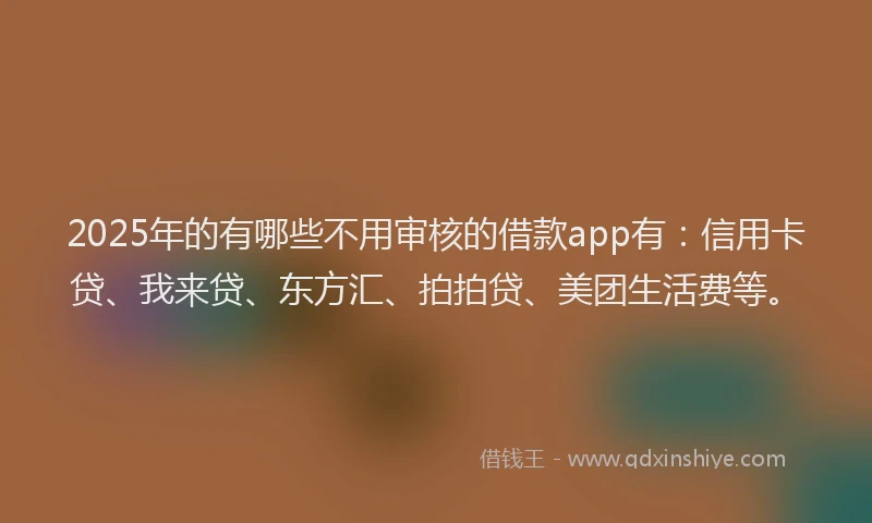 2025年的有哪些不用审核的借款app有：信用卡贷、我来贷、东方汇、拍拍贷、美团生活费等。