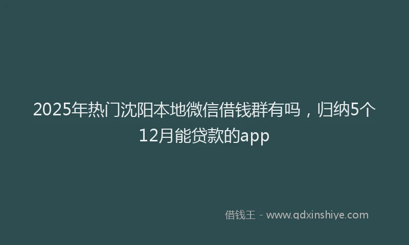 2025年热门沈阳本地微信借钱群有吗，归纳5个12月能贷款的app