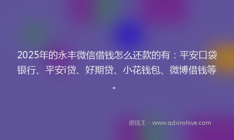 2025年的永丰微信借钱怎么还款的有：平安口袋银行、平安i贷、好期贷、小花钱包、微博借钱等。