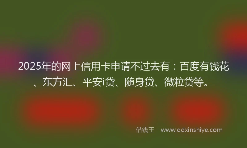 2025年的网上信用卡申请不过去有：百度有钱花、东方汇、平安i贷、随身贷、微粒贷等。