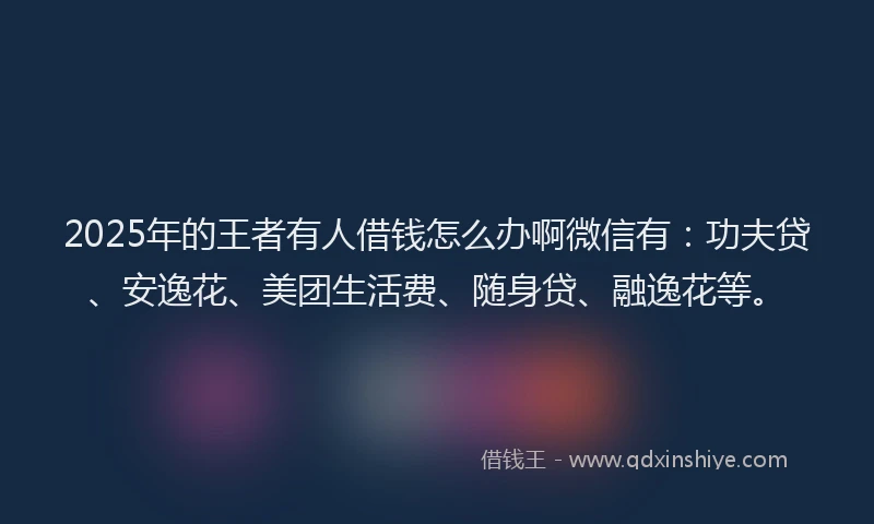 2025年的王者有人借钱怎么办啊微信有：功夫贷、安逸花、美团生活费、随身贷、融逸花等。