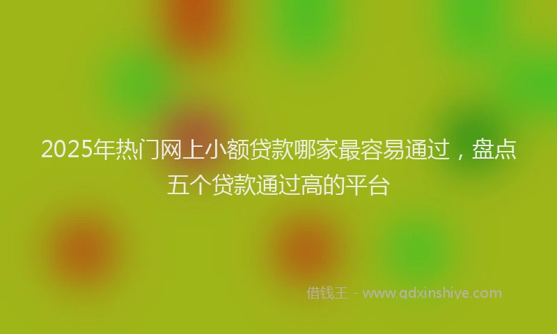 2025年热门网上小额贷款哪家最容易通过，盘点五个贷款通过高的平台