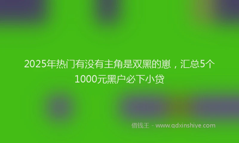 2025年热门有没有主角是双黑的崽，汇总5个1000元黑户必下小贷