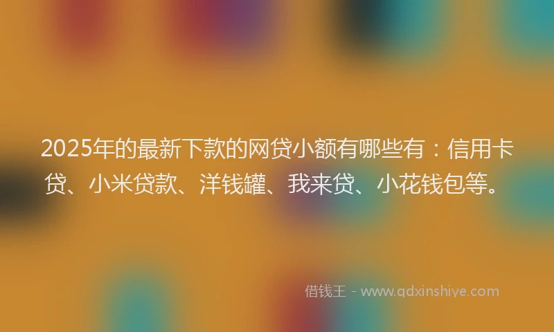 2025年的最新下款的网贷小额有哪些有：信用卡贷、小米贷款、洋钱罐、我来贷、小花钱包等。
