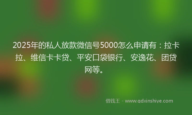 2025年的私人放款微信号5000怎么申请有：拉卡拉、维信卡卡贷、平安口袋银行、安逸花、团贷网等。
