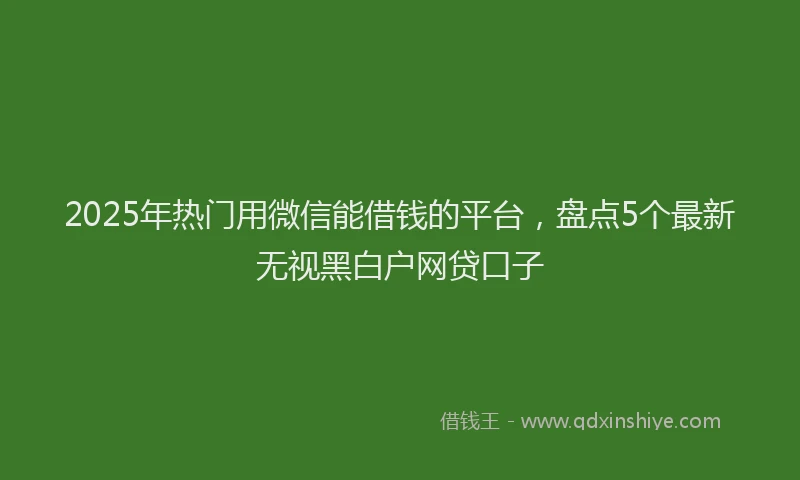 2025年热门用微信能借钱的平台，盘点5个最新无视黑白户网贷口子