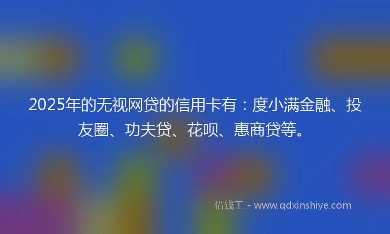 2025年的无视网贷的信用卡有：度小满金融、投友圈、功夫贷、花呗、惠商贷等。