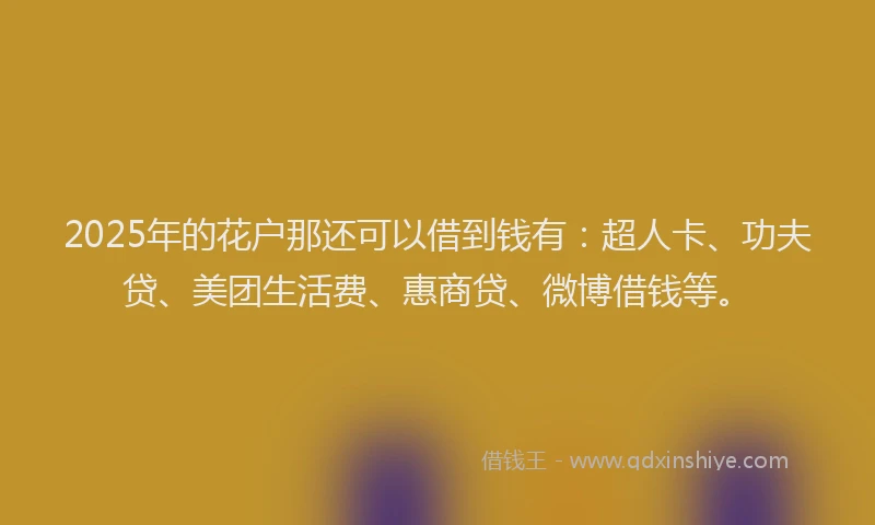 2025年的花户那还可以借到钱有：超人卡、功夫贷、美团生活费、惠商贷、微博借钱等。