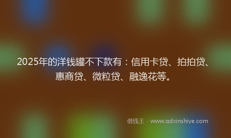 2025年的洋钱罐不下款有：信用卡贷、拍拍贷、惠商贷、微粒贷、融逸花等。