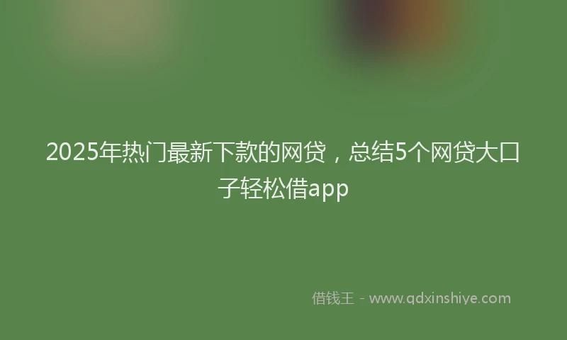 2025年热门最新下款的网贷，总结5个网贷大口子轻松借app
