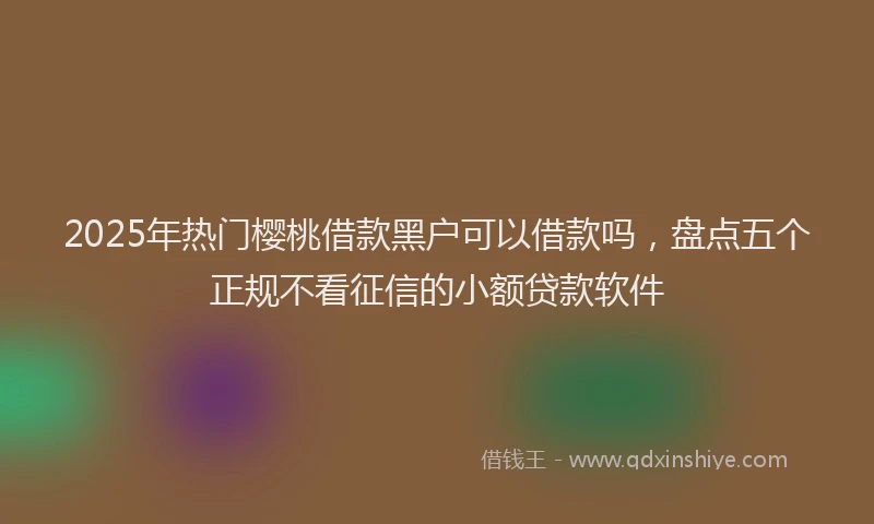 2025年热门樱桃借款黑户可以借款吗，盘点五个正规不看征信的小额贷款软件