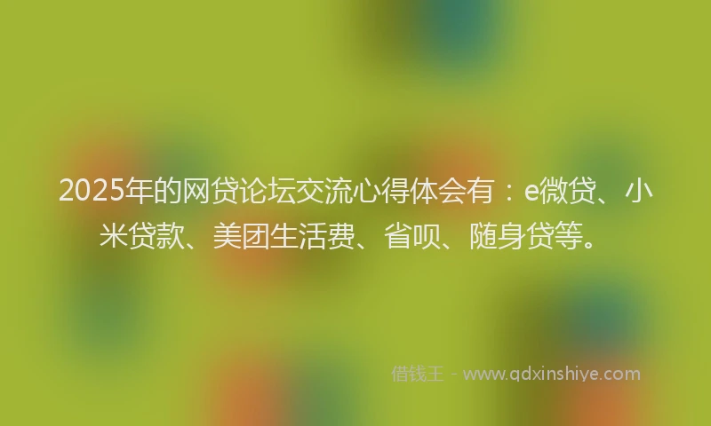 2025年的网贷论坛交流心得体会有：e微贷、小米贷款、美团生活费、省呗、随身贷等。