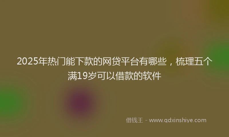 2025年热门能下款的网贷平台有哪些，梳理五个满19岁可以借款的软件