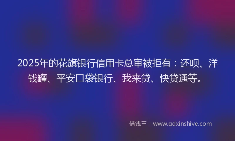 2025年的花旗银行信用卡总审被拒有：还呗、洋钱罐、平安口袋银行、我来贷、快贷通等。