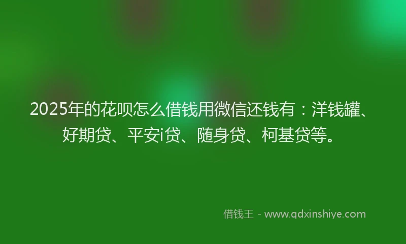 2025年的花呗怎么借钱用微信还钱有：洋钱罐、好期贷、平安i贷、随身贷、柯基贷等。