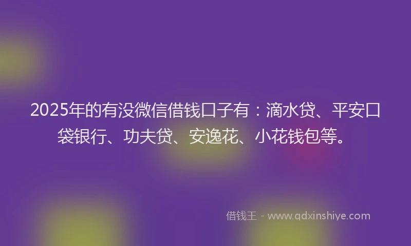 2025年的有没微信借钱口子有：滴水贷、平安口袋银行、功夫贷、安逸花、小花钱包等。