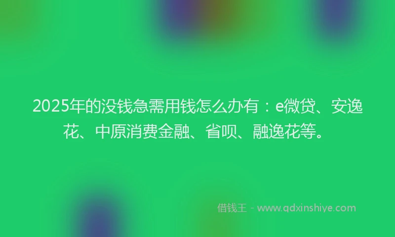2025年的没钱急需用钱怎么办有：e微贷、安逸花、中原消费金融、省呗、融逸花等。