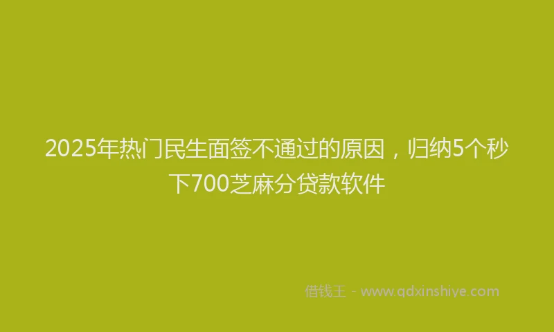 2025年热门民生面签不通过的原因，归纳5个秒下700芝麻分贷款软件