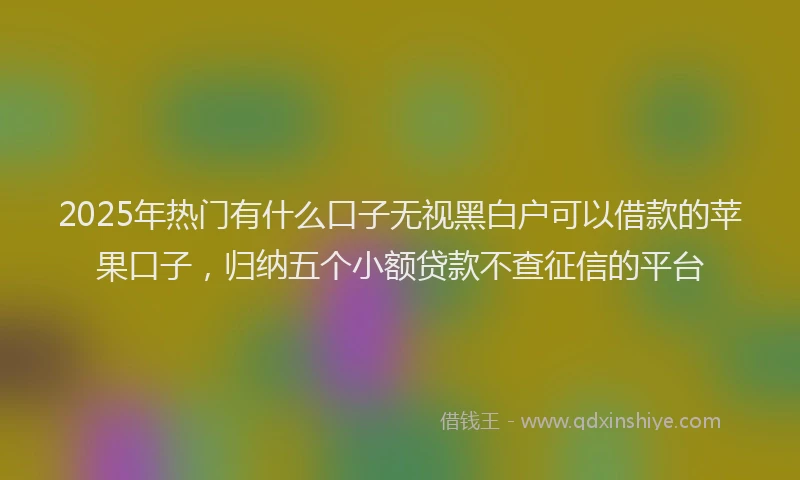2025年热门有什么口子无视黑白户可以借款的苹果口子，归纳五个小额贷款不查征信的平台