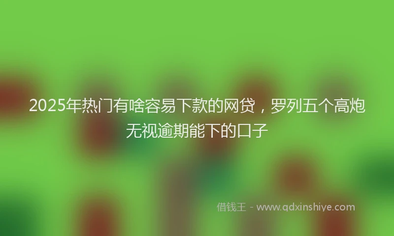 2025年热门有啥容易下款的网贷，罗列五个高炮无视逾期能下的口子