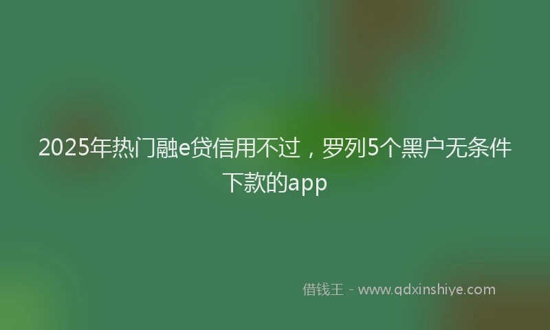 2025年热门融e贷信用不过，罗列5个黑户无条件下款的app