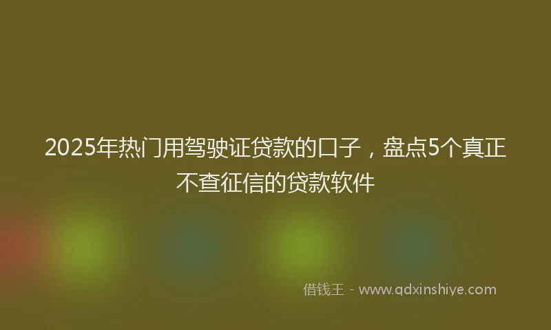 2025年热门用驾驶证贷款的口子，盘点5个真正不查征信的贷款软件