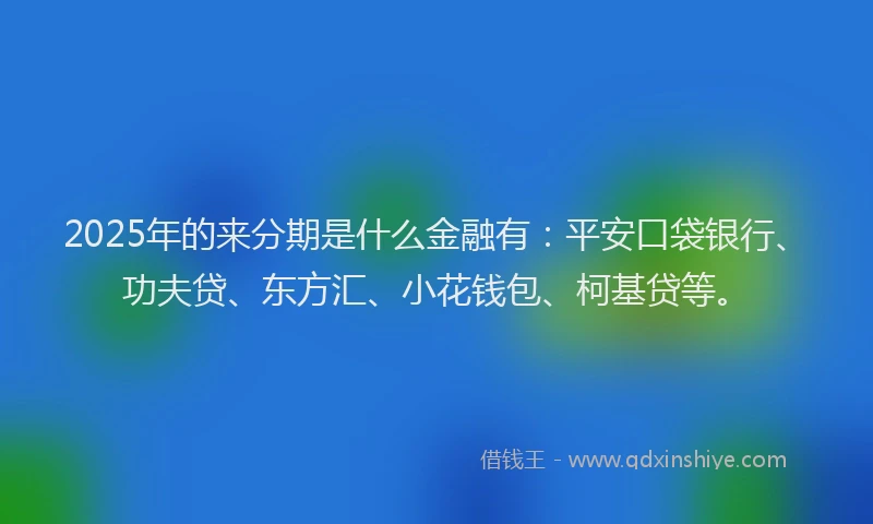 2025年的来分期是什么金融有：平安口袋银行、功夫贷、东方汇、小花钱包、柯基贷等。