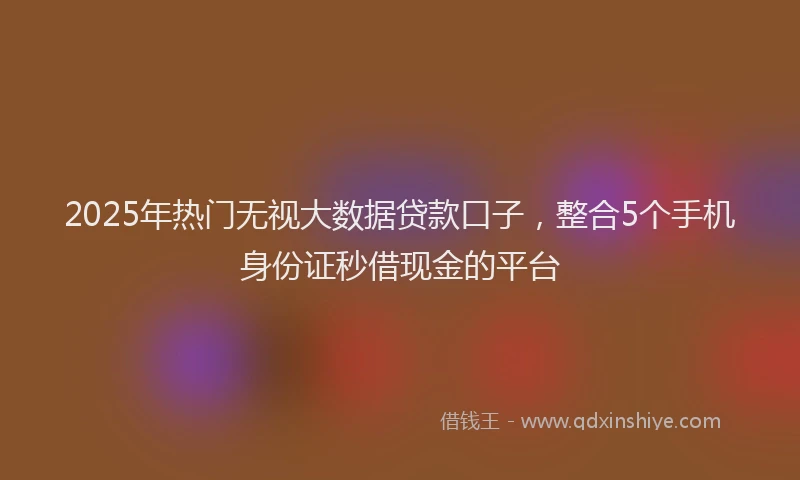 2025年热门无视大数据贷款口子，整合5个手机身份证秒借现金的平台