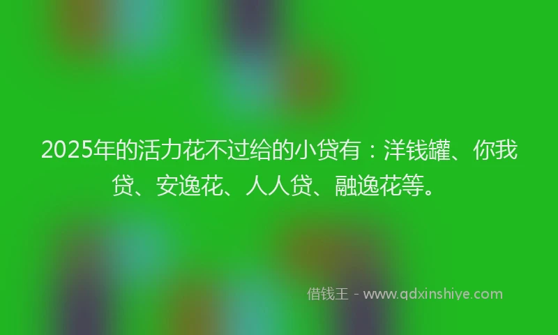 2025年的活力花不过给的小贷有：洋钱罐、你我贷、安逸花、人人贷、融逸花等。