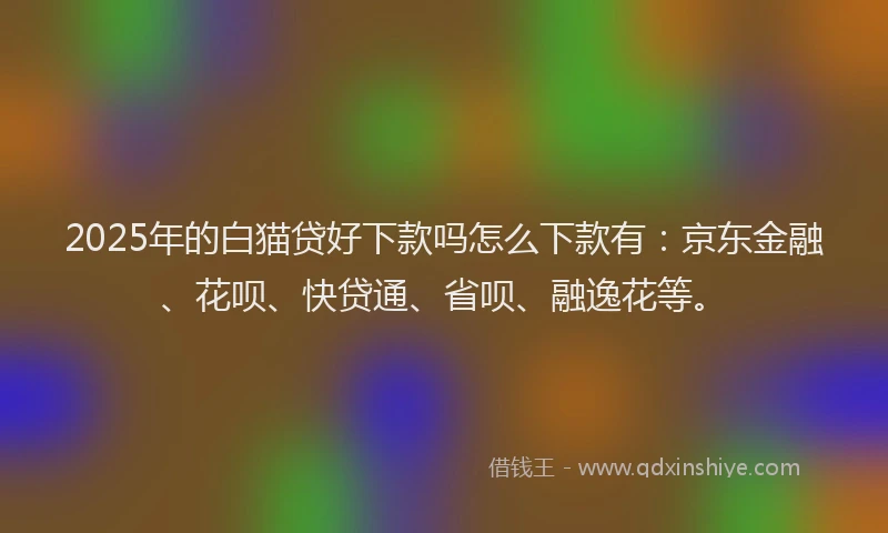 2025年的白猫贷好下款吗怎么下款有：京东金融、花呗、快贷通、省呗、融逸花等。