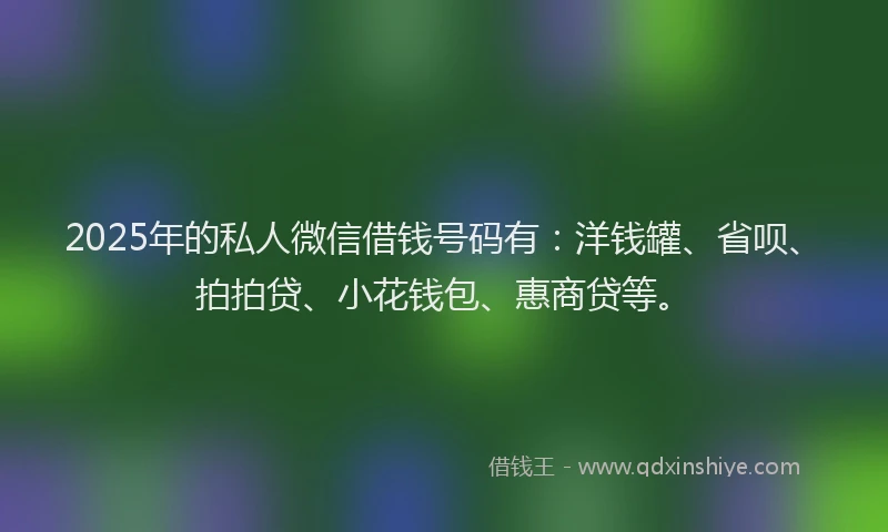 2025年的私人微信借钱号码有：洋钱罐、省呗、拍拍贷、小花钱包、惠商贷等。