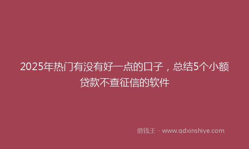 2025年热门有没有好一点的口子，总结5个小额贷款不查征信的软件