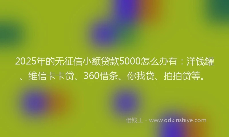 2025年的无征信小额贷款5000怎么办有：洋钱罐、维信卡卡贷、360借条、你我贷、拍拍贷等。