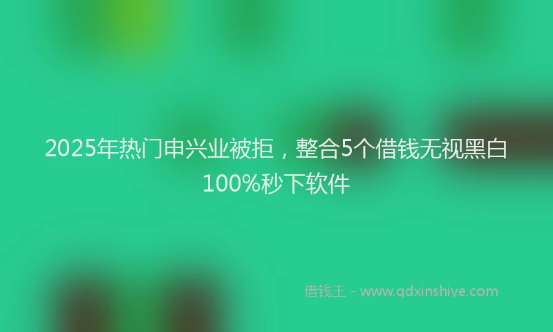 2025年热门申兴业被拒，整合5个借钱无视黑白100%秒下软件